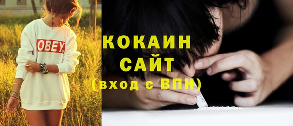 тгк Вяземский