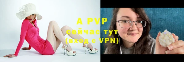 тгк Вяземский