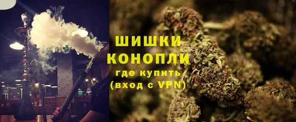 тгк Вяземский