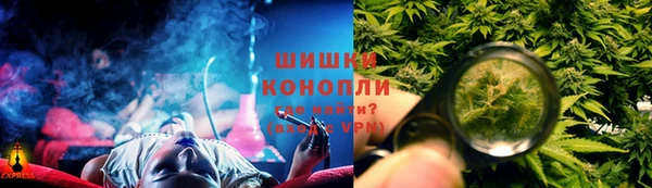 тгк Вяземский