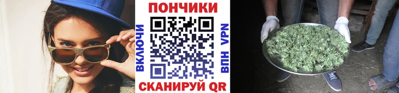 Шишки марихуана планчик  Копейск 